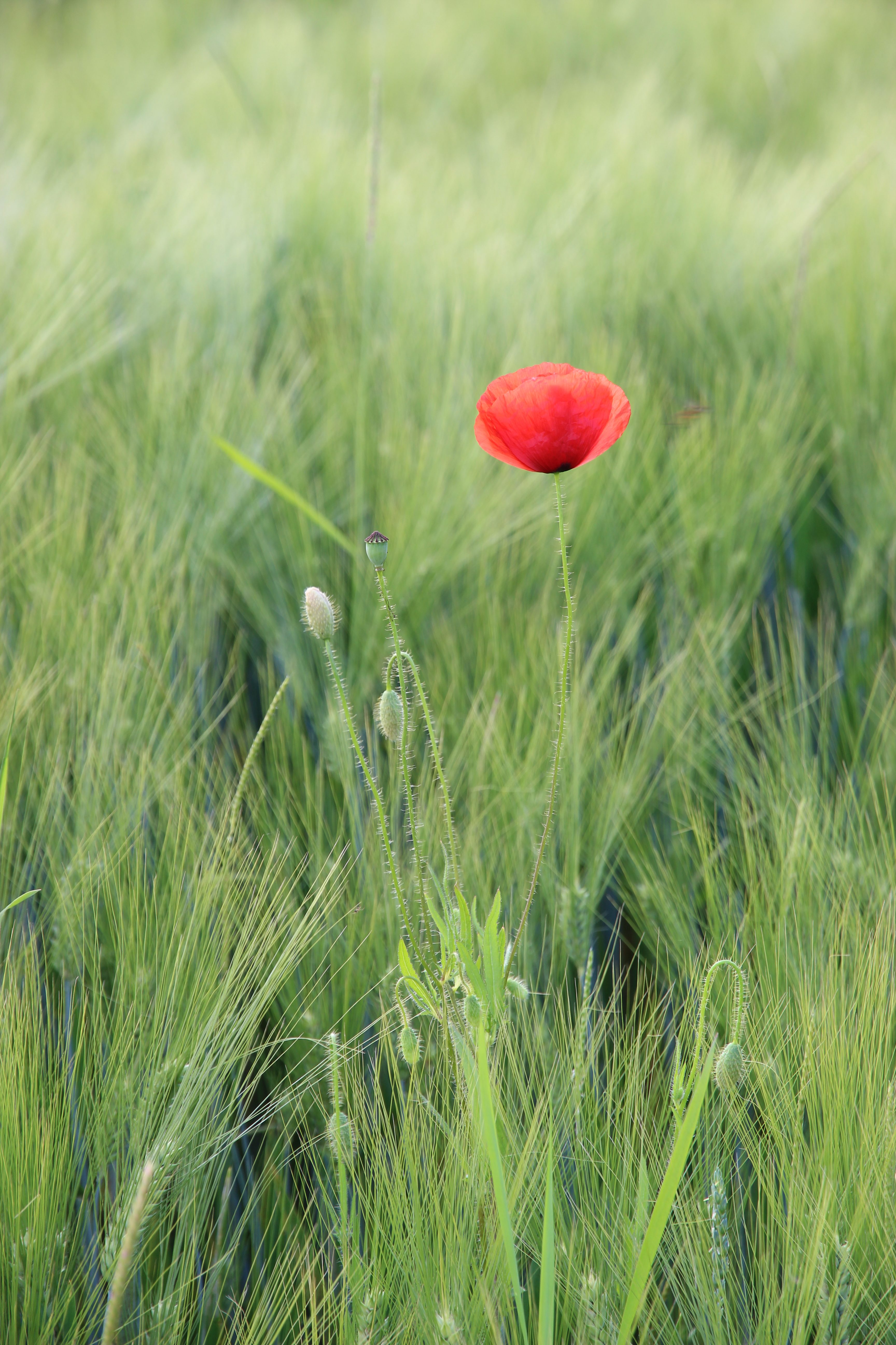 Frisuren Atelier Jäger Rottenburg : Vanessa Rottenburg