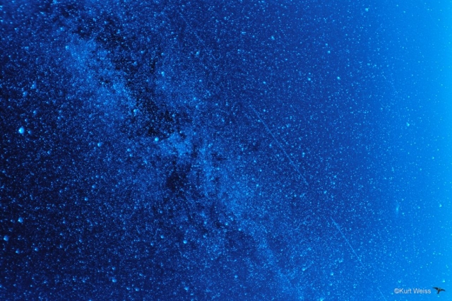 August 2017 - Sterne über Rottenburg