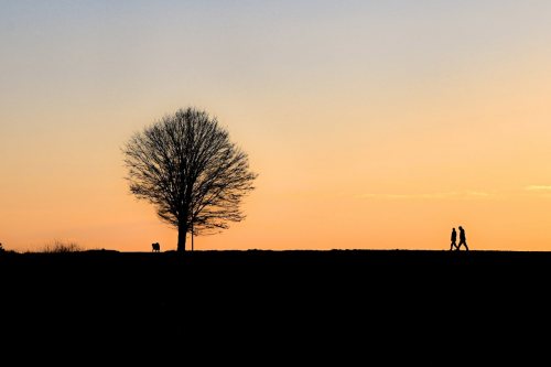 Spaziergang droben auf der Höhe
