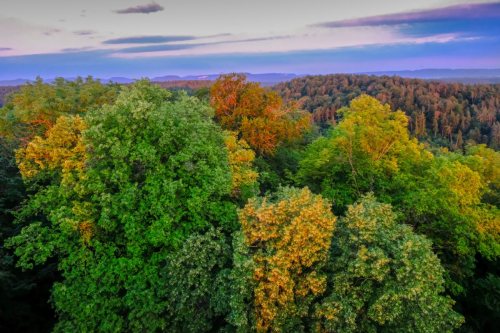 Weilerburg 02. Juli 2019-010